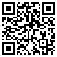 CHAT GPT国内版