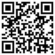 闪记词典