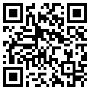 XBROWSER小说版