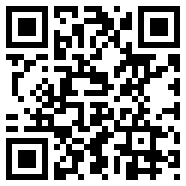 net framework 4.0支持中文版
