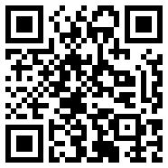 公斤银币