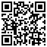袋中爱中文版vivo