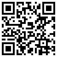 91轻量版安装苹果app