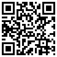 radmin3.4