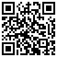 net framework 4.0LocalAI