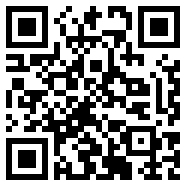 net framework 4.0季节版