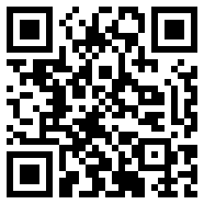 net framework 4.0战略版