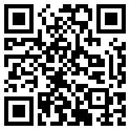 net framework 4.0游戏插件