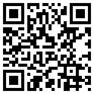 隐身侍卫