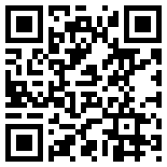 CHAT GPT 国内版